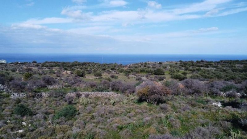 Kokkino Chorio Kreta, Kokkino Chorio: Grundstück in ruhiger Lage mit Meerblick zu verkaufen Grundstück kaufen
